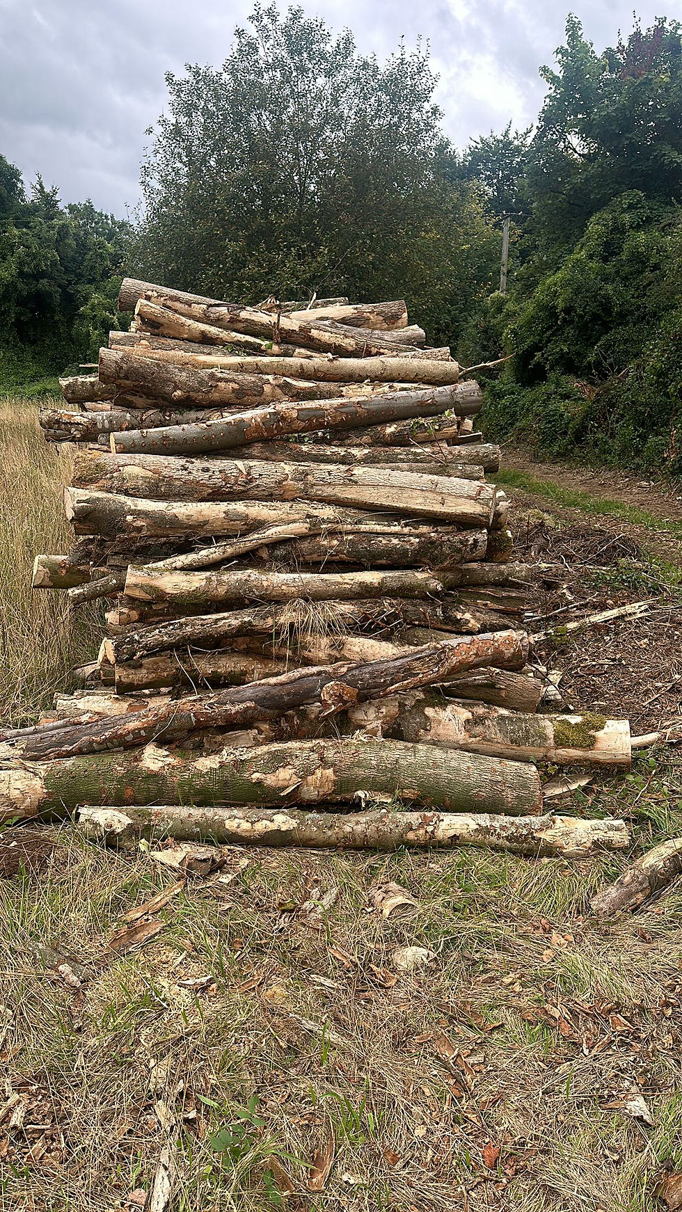 Ungraded Ash Firewood