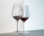 Reidel Pinot Noir Performance