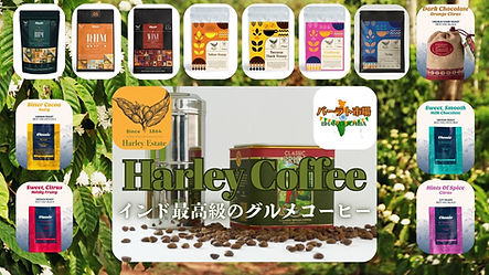 ハーレイコーヒー (1).jpg