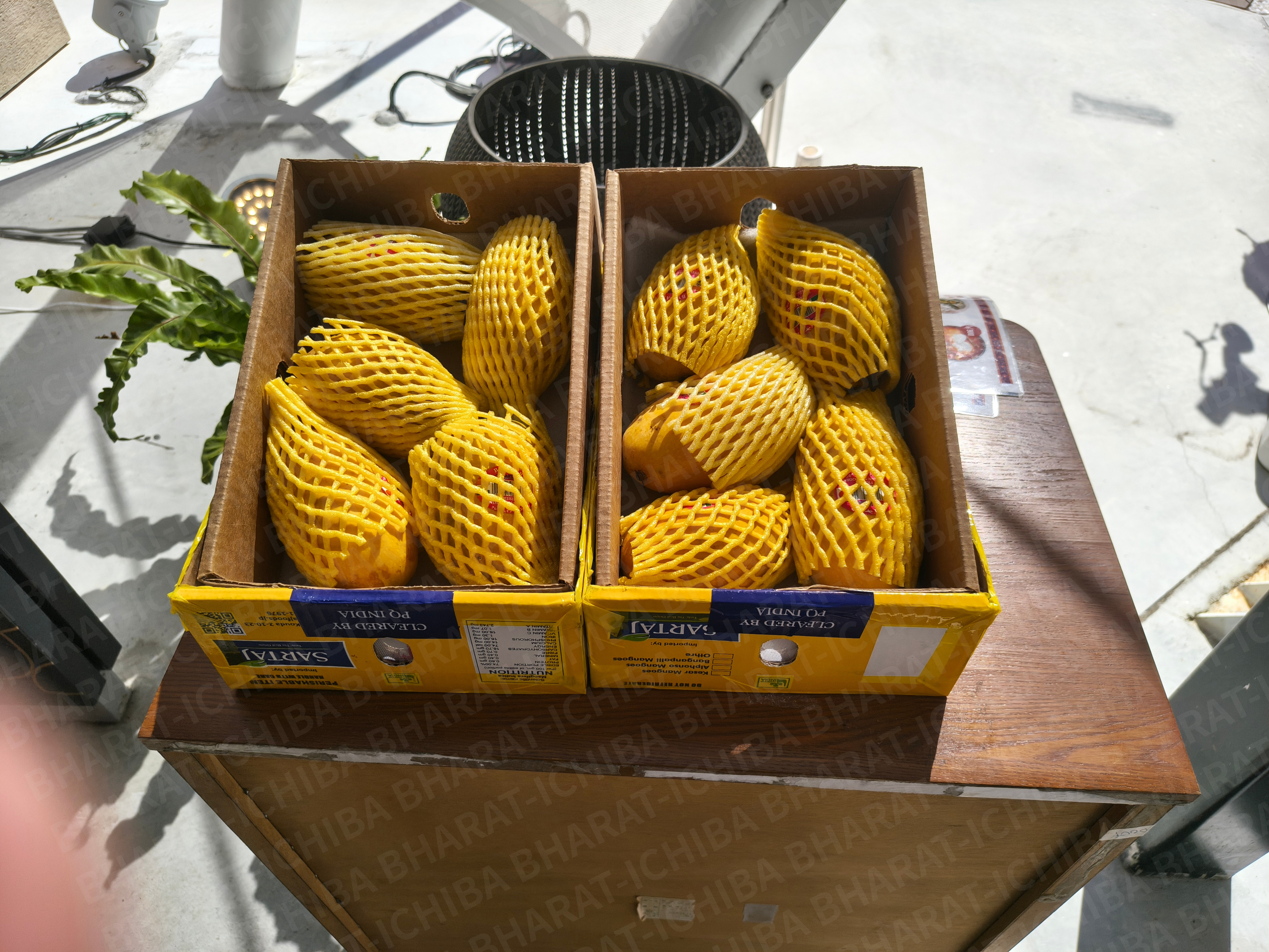 BHARAT-ICHIBA photo stock (183)