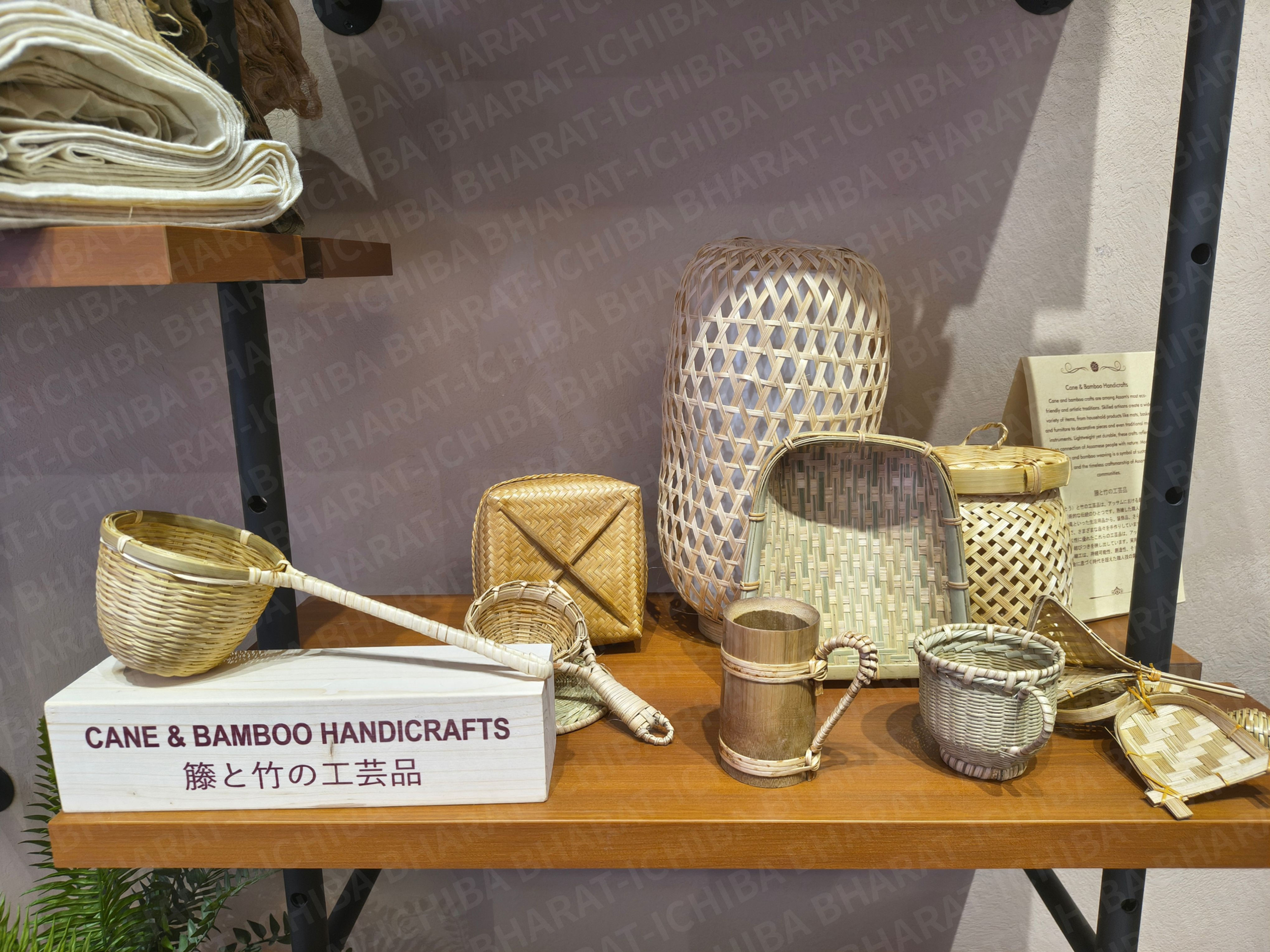 BHARAT-ICHIBA photo stock (307)