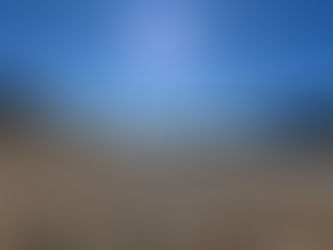 Troop 22 Newsletter: January 2026 Edition