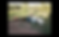 Screenshot 2025-03-18 at 7.49.20 PM.png