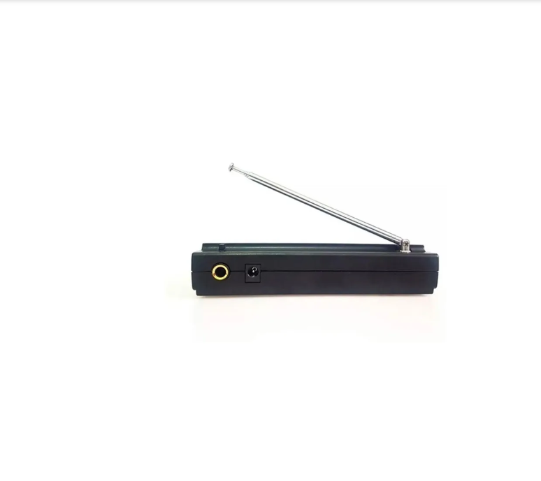MICROFONE SEM FIO PROFISIONAL KP-910