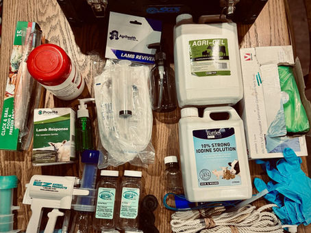 All you need in your lambing kit for pet sheep