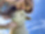 IMG_9335.jpeg