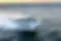 ddjbwgcl8e6rqd46bmsx_shdvj2_cropped.webp
