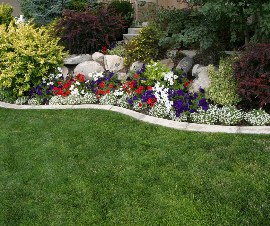 Jardim com flores sortidas, que se completam.