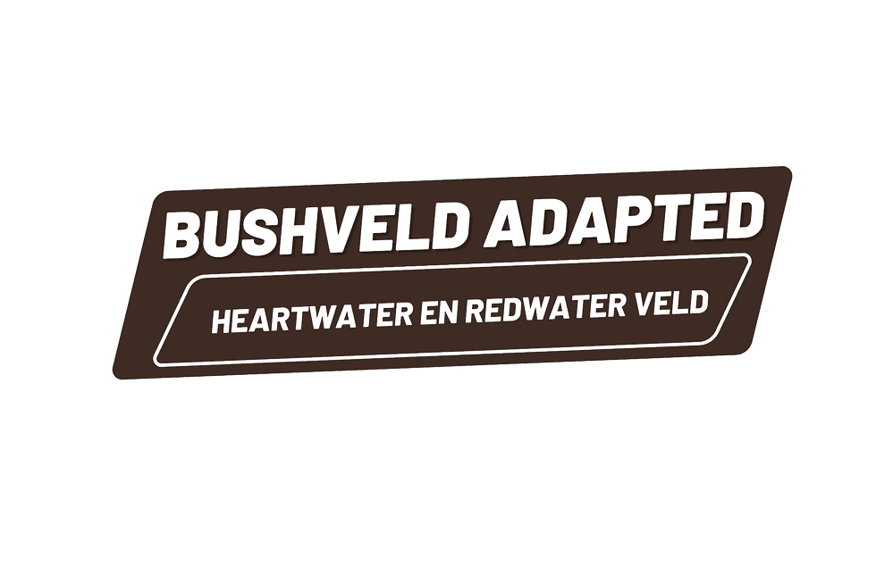 Copy of Copy of REV1900.png
