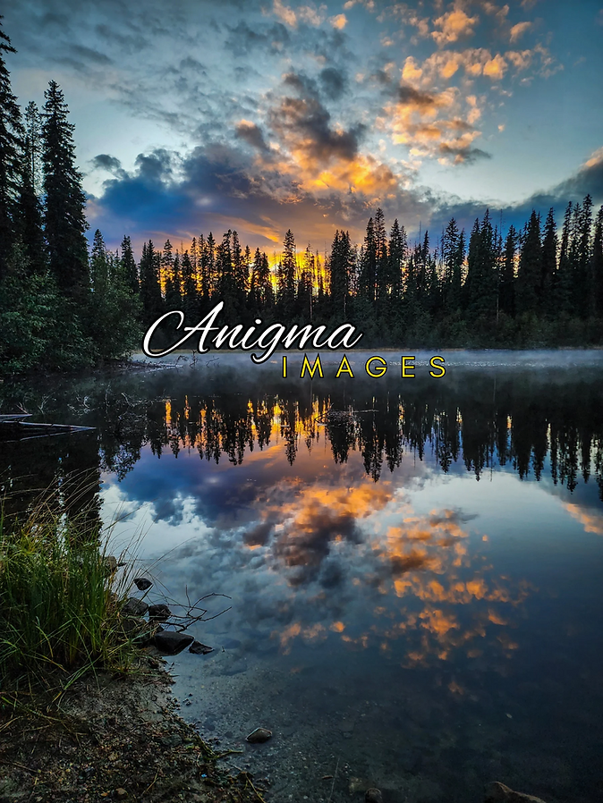 Website image.png