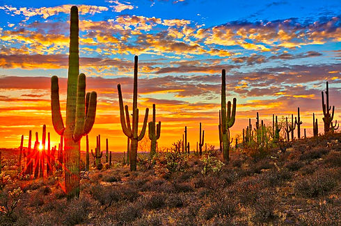 AZ.jpeg
