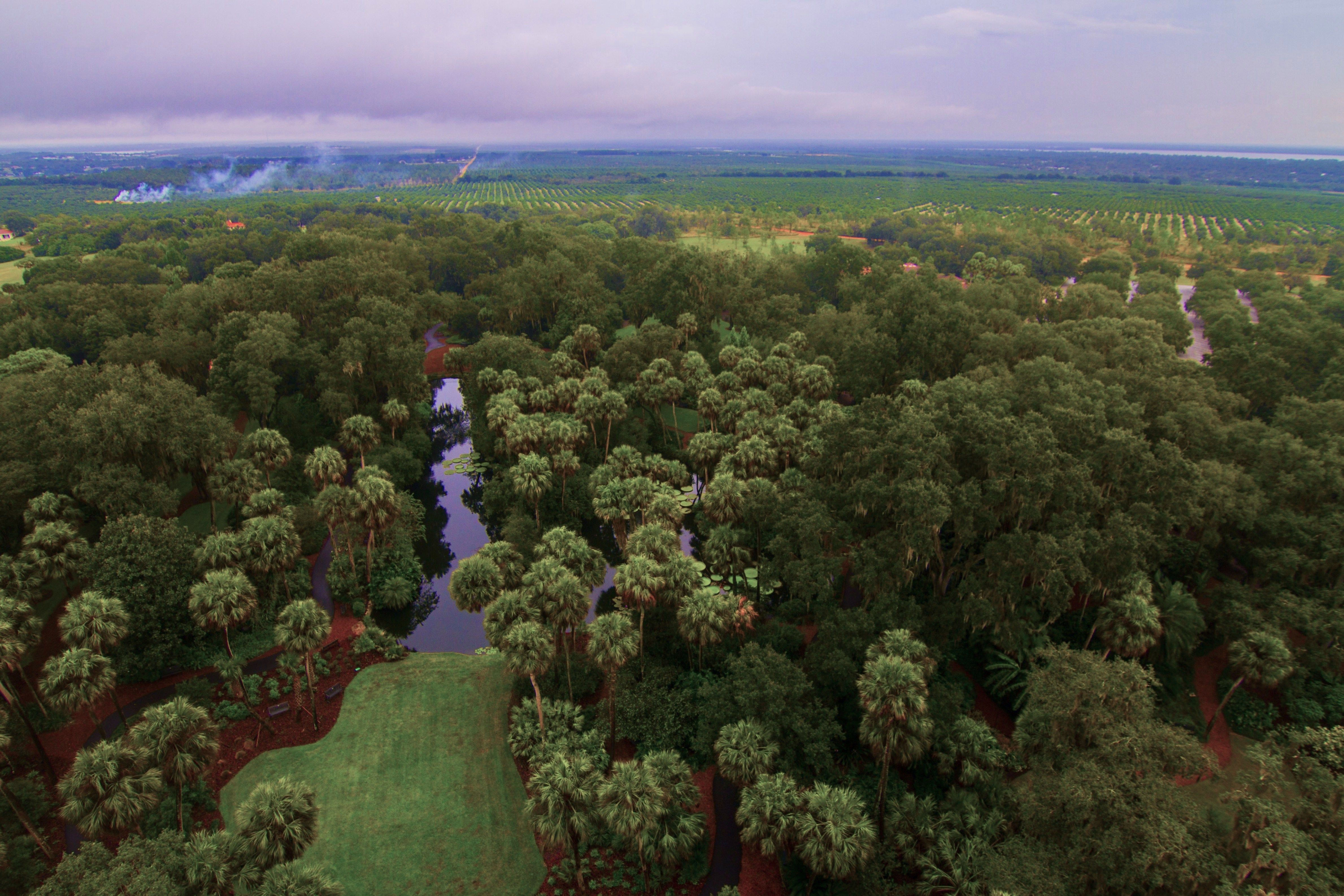 Sunny Floridian Land Up for Grabs, in Polk County