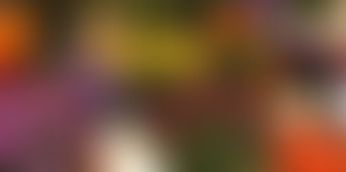 🌸 Join Us for Newton Homecoming Festivities! 🌸