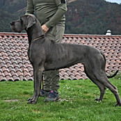 india alto imperio