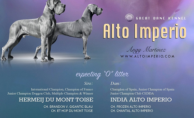 anuncion camada Alto Imperio