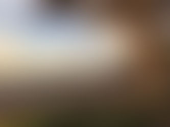 My Favorite Central California Getaway: A Beautiful Trip I Took to Morro Bay