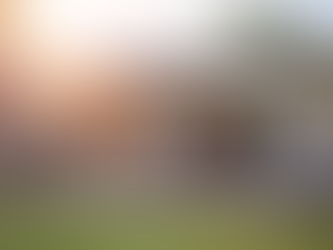 ¡VUELVE A DISFRUTAR TU PATIO, TERRAZA O JARDÍN!