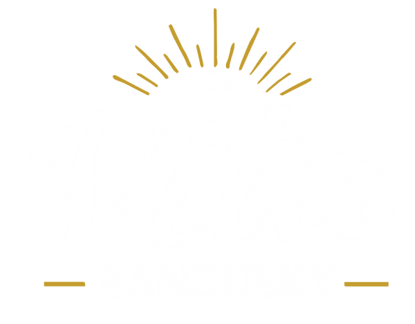 Vita Logo Simple