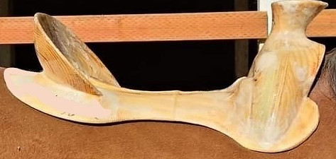 thumbnail_LI (7).jpg