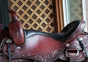 my saddle.jpeg
