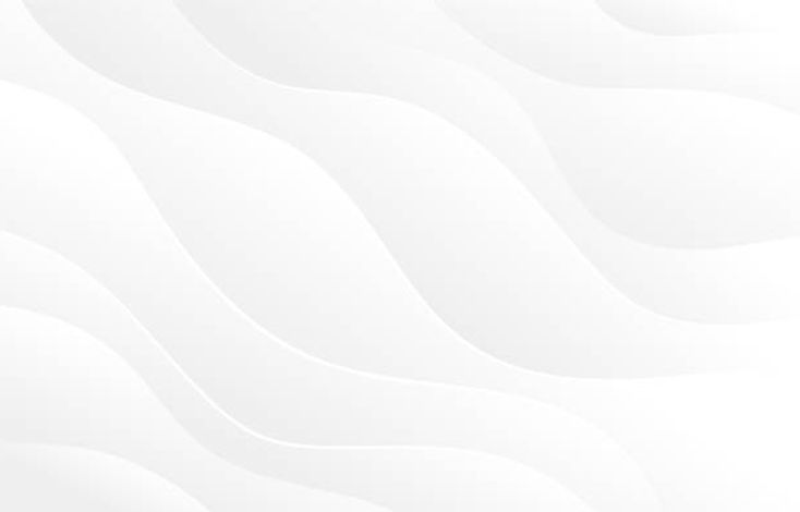 istockphoto-1365525746-612x612_edited.jpg
