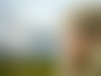 woman reflecting on career and identity, quiet leadership coaching