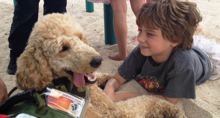 dogs for special needs child