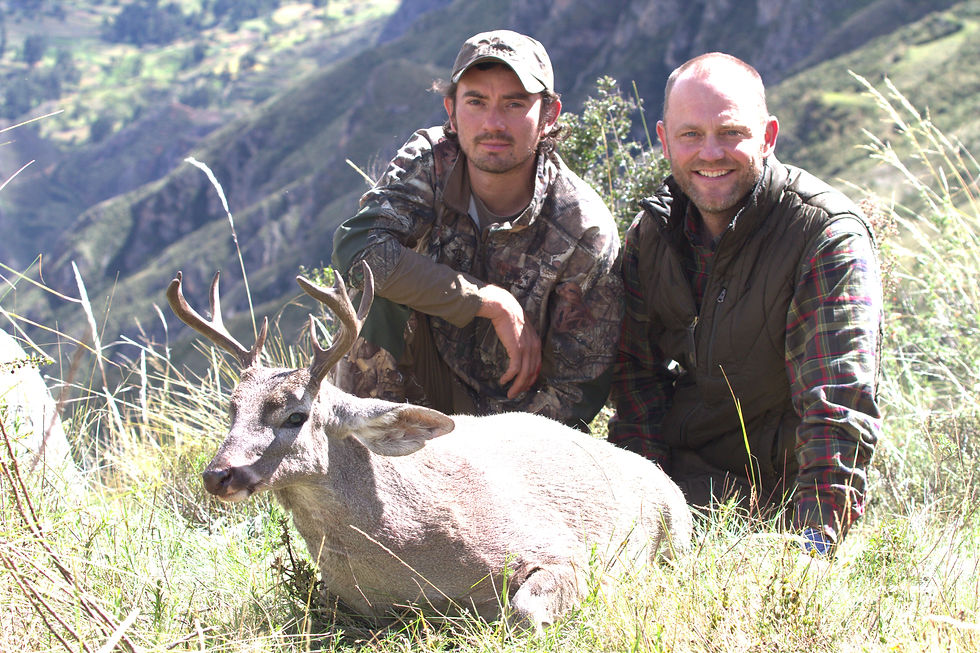 whitetail deer hunting Peru