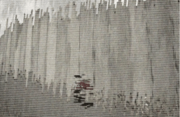 גיף חומה.gif