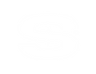 wsa1.png