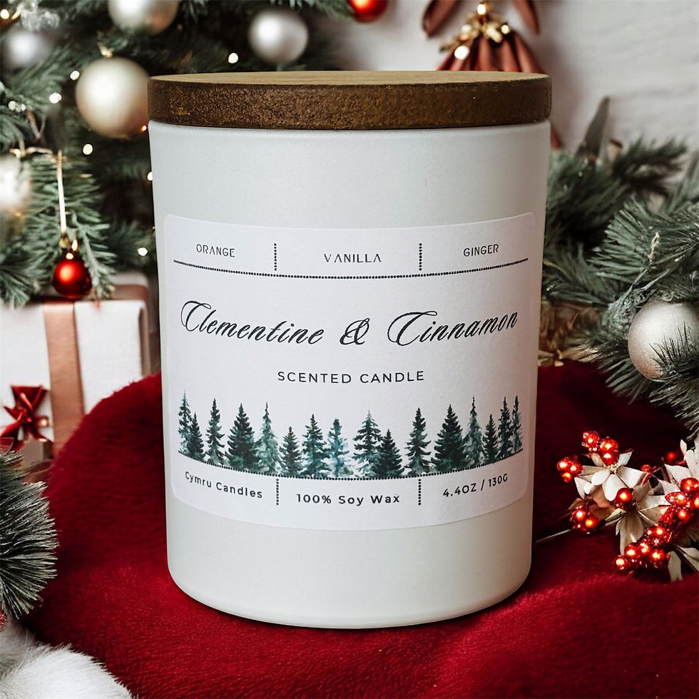 Clementine & Cinnamon Candle {20cl}