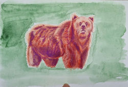 Ejercicio de Texturas: Oso