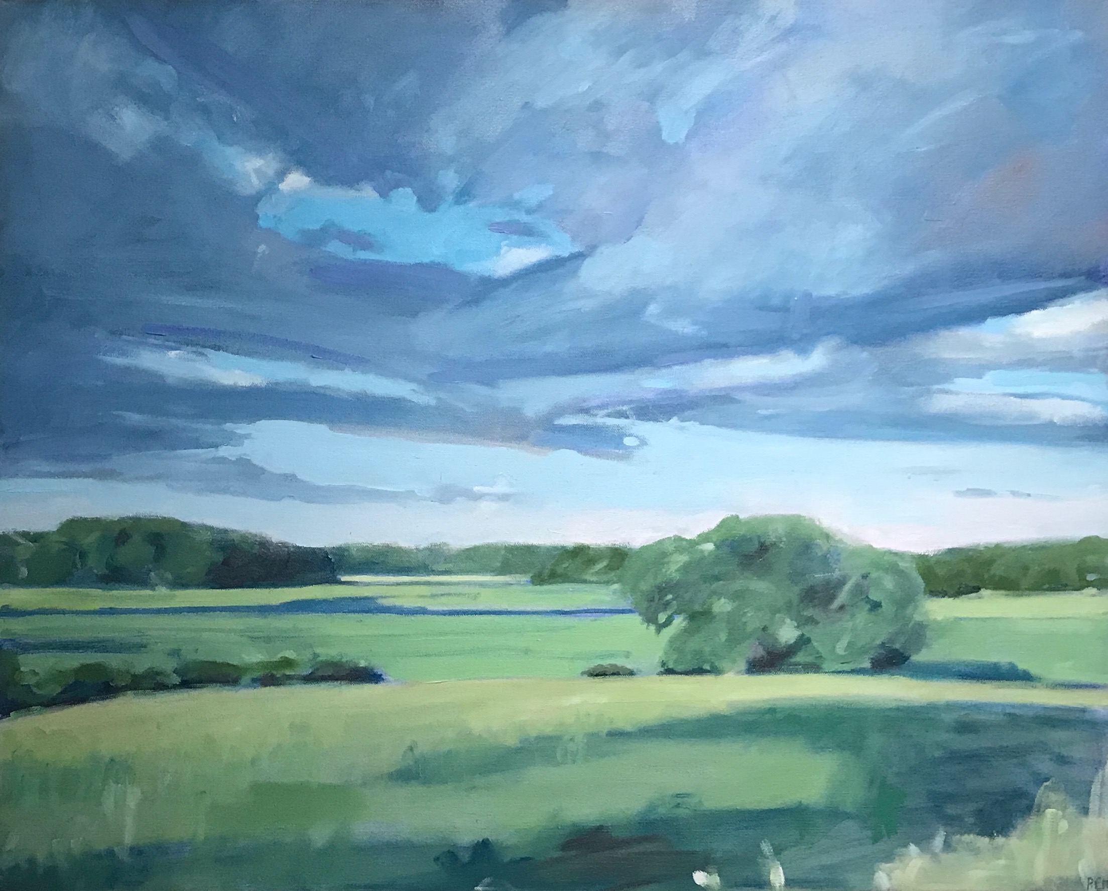 Cox Reservataion, after the Storm | Landscapes