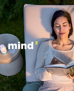 Reddit - 2 - Mind.png