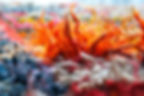 10511313_375754215936416_7214275002359878130_n