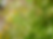 evgenia_foto_nature_7web