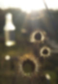 10888729_375769399268231_7422417757768722559_n