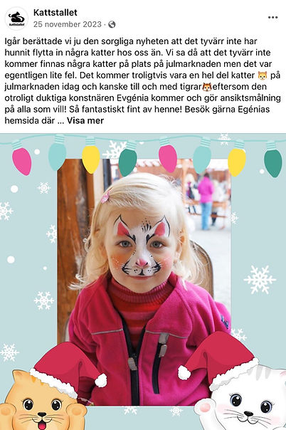 kattstallet_evgenia_ansiktsmalning_stockholm_barnevent_facepainting_katt.jpg
