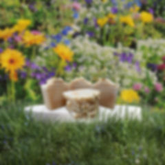 Honeysuckle Tallow Bar Soap
