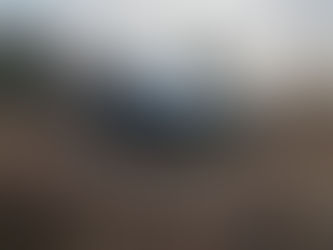 How to Plan the Perfect Wellness Weekend in Asheville