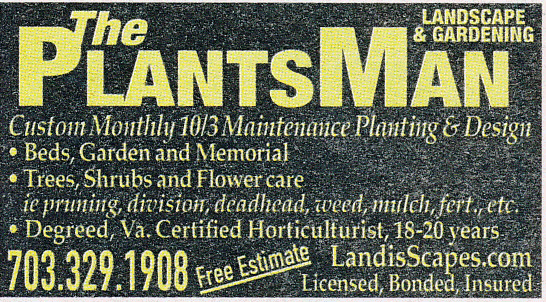 The Plants Man Landscape and Gardening
