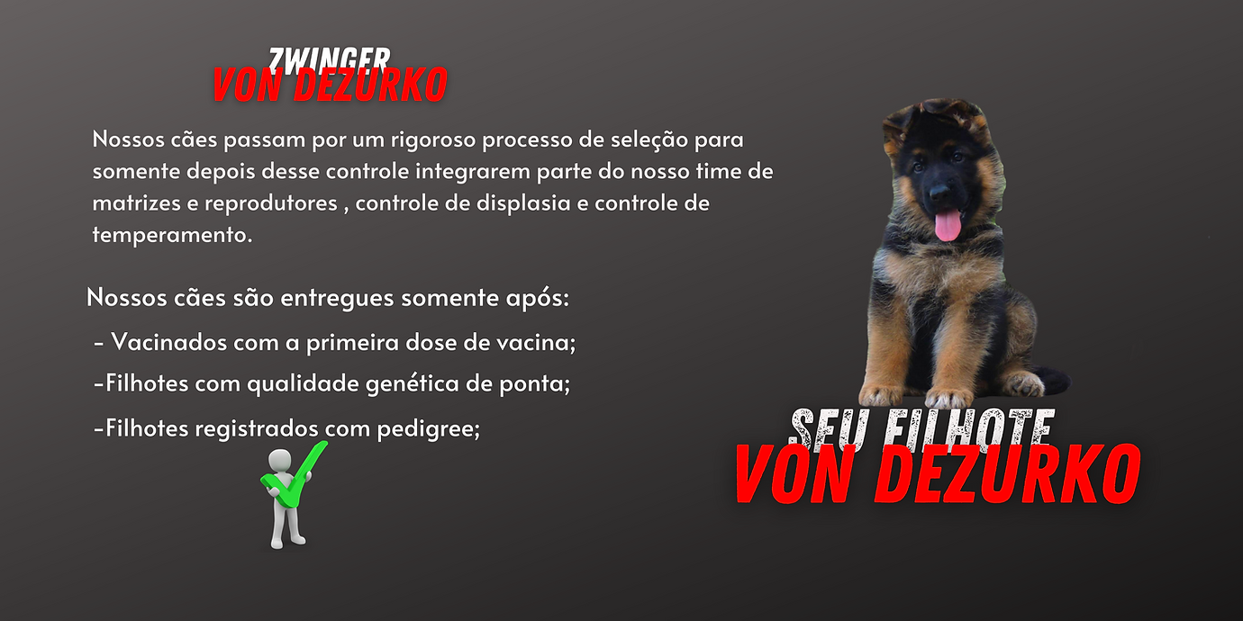 SEU FILHOTE (1).png