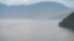 PPP_1909-NEF_DxO_DeepPRIME_fullres.jpg