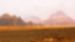 l-intro-1736248207.jpg