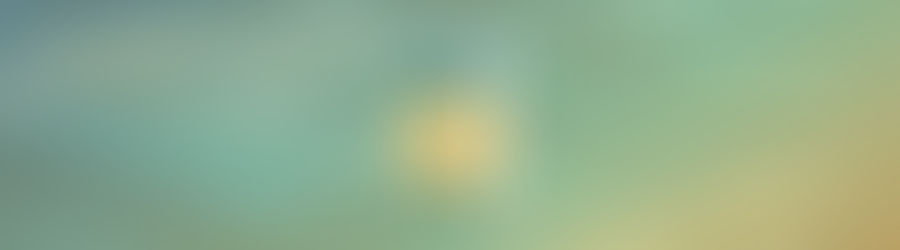 Finding Purpose During Financial Crisis 