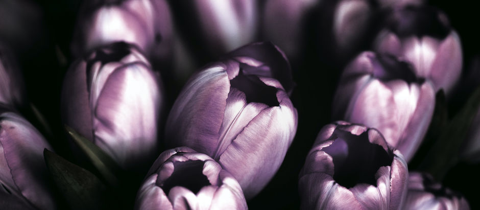 Deepak Chopra: A Time for Blossoming