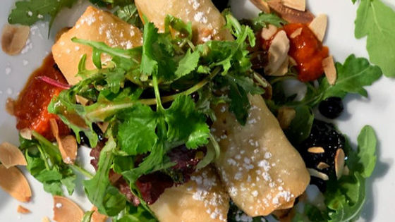 Moroccan Chicken Spring Rolls
