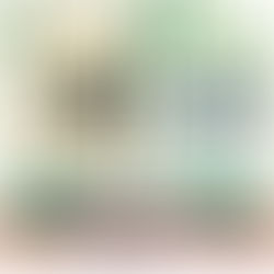 【猜猜我是誰?】5種香港常見水鳥