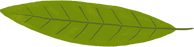herbivory_0001s_0000_Pixel-layer.png