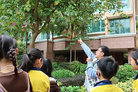 IMG_9348.JPG